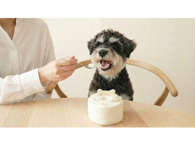 �y�V�u�����h�wPaw��me�x�a���z����V�t�H���P�[�L���X�wThis is CHIFFON CAKE.�x����Ɨ����A2026�N2��9�������I�����C���T�C�g���I�[�v���B