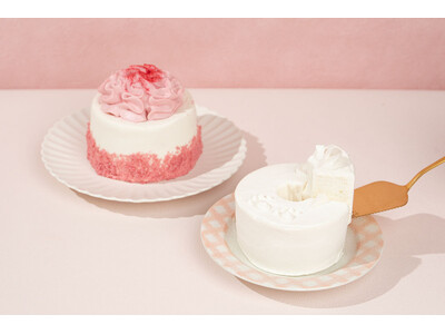 母の日も愛犬と一緒に。Paw&meよりケーキセット『Family【mother’s day】』が新発売