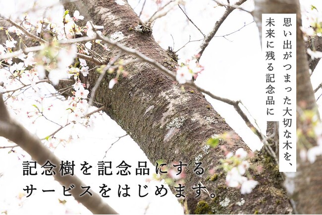 大切な木から記念品製作サービス「tree timeless」を提供開始