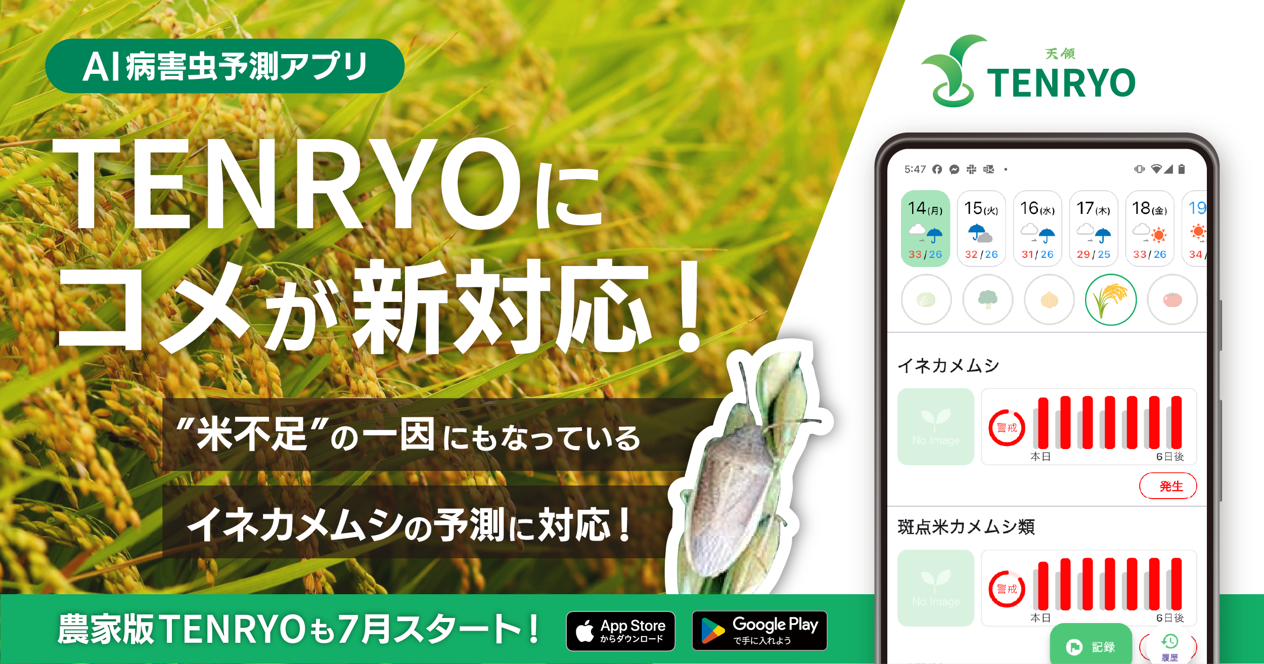 深刻化するイネカメムシ被害を受け、防除DXアプリ「TENRYO」が「コメ」のAI病害虫予測に新対応