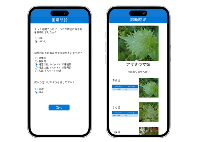 日本一のシソ産地・愛知から農業DXを加速 ミライ菜園が愛知県と共同で「シソ病害虫AI画像診断技術」を開発