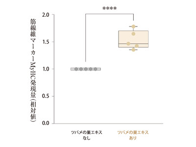 【特許取得】天然アナツバメの巣エキスが、筋肉の「修復と増強」を促す可能性