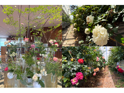 【琵琶湖ホテル】滋賀県産のバラで初夏のロビーに彩りを花の地産地消で県内生産者を応援するSDGsの取り組み