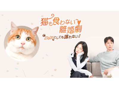 【フジテレビ】ユン・ドゥジュン＆キム・スルギ 10年ぶりの共演！韓国ドラマ『猫も食わない離婚劇～ニャンとしても譲れない！～』FODにて完全独占配信決定！