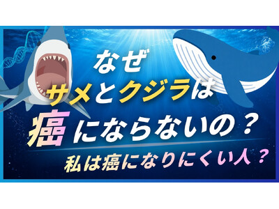 サメとクジラは、なぜ「がん」に強いのか ─ 巨大生物が教えてくれる、がんと遺伝子の関係