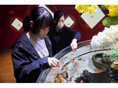 クリスマスオーナメントをイメージした飼育員特製のエサを魚たちにプレゼントしましょう！「スマートアクアリウ...