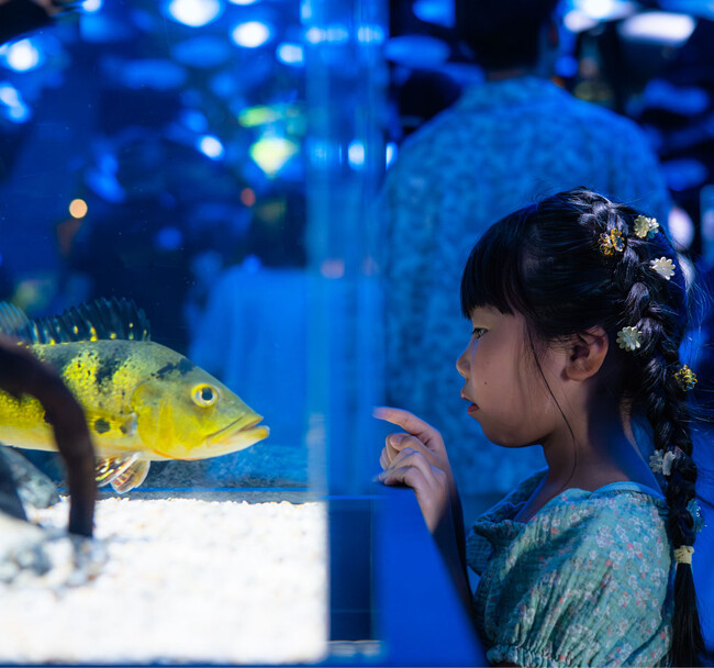 プレスリリース「親子でアトアへ行こう！大人１名につき幼児１名が無料に！」のイメージ画像