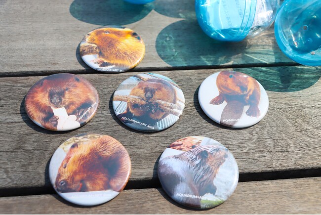 プレスリリース「ビーバーの写真を大募集！あなたの撮影した写真がアトアでグッズに！？」のイメージ画像