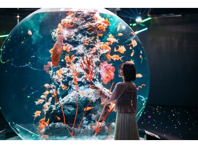 GWは営業時間を延長！多彩な体験イベント開催！【神戸の港の劇場型アクアリウムatoa】