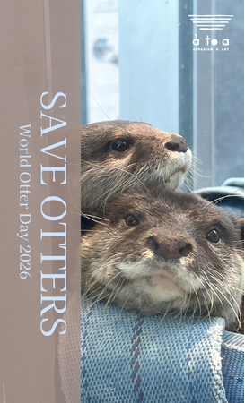 神戸の港の水族館 アトア 【世界カワウソの日2026】 ３日間限定イベント「カワウソトークタイム～知ることは守ること～」