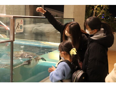 神戸の港の劇場型アクアリウムatoa（アトア） 夜の水族館を貸切り、特別な体験を。