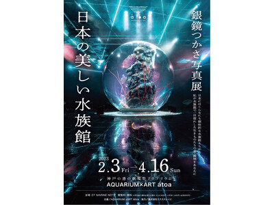 水族館写真家 銀鏡つかさ氏 初の写真展「日本の美しい水族館」開催！　コラボ企画【銀鏡つかさと巡るatoa貸切フォトウォーク】参加者募集します！【AQUARUM×ART atoa（アトア）】