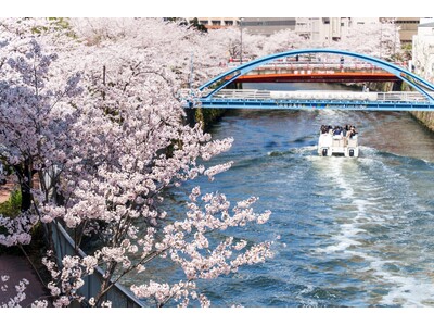 【目黒川お花見クルーズ】予約好調につき緊急増便