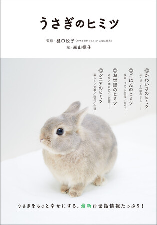 基本のお世話にプラスしたい、うさぎを幸せにする最新情報・ヒントがぎっしり!『うさぎのヒミツ』4月発売