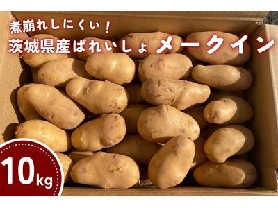 茨城県産ばれいしょ「メークイン」と「とうや」を「ＪＡタウン」のショップ「いいものいっぱい広場」で発売中！～様々な料理で大活躍！！～