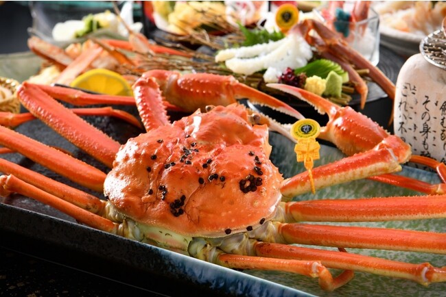 １１月６日は、冬の味覚「越前がに」漁の解禁日　福井県 休暇村越前三国では、越前がにの活蟹を２杯使用した会席料理「極魅（きわみ）コース」を １１月７日（火）からご提供します