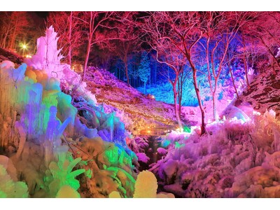 秩父路の冬の風物詩　200ｍに渡る幻想的な氷の世界を観賞　休暇村奥武蔵では１月１４日（日）から金曜日と日曜日の夜限定で「あしがくぼの氷柱」観賞にご案内します