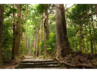 休暇村南紀勝浦、「紀伊山地の霊場と参詣道」世界遺産２０周年を記念した特別企画「熊野古道巡り　大門坂プレミ...