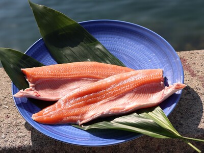 旬を迎える淡路島発ブランド食材「淡路島サクラマス」と鳴門海峡で育った「桜鯛」　休暇村南淡路では、紅白で華...