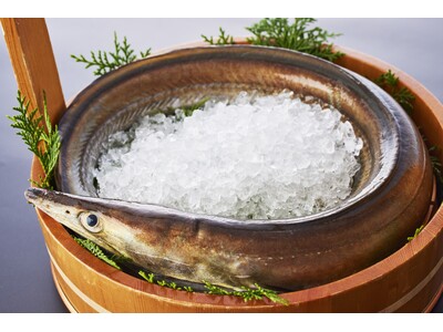 関西の夏の風物詩、鱧（はも）　淡路島で「べっぴんハモ」の水揚げがはじまりました　休暇村南淡路では鱧のフル...