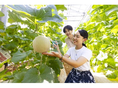 渥美半島名産のマスクメロンが旬！好きなだけメロンを食べられる幸せ…　休暇村伊良湖では「メロン食べ放題＆収...