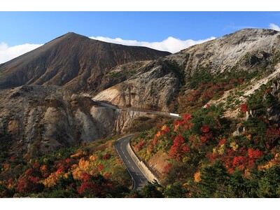 福島県の裏磐梯周辺では紅葉が続々と見頃を迎えています！　キノコや里芋など秋の味覚も出そろい、沿道の直売所...