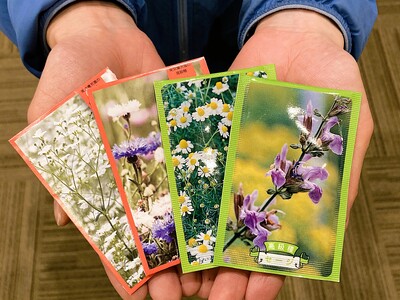 妙高戸隠連山国立公園10周年記念　種を育てて花を咲かせよう！休暇村妙高では「花咲かそうInstagram...