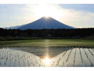 水田に映る「ダブルダイヤモンド富士」一年に一度、現れるチャンス（静岡県富士宮市内野地区）