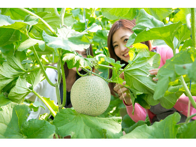 【休暇村伊良湖】渥美名産のメロンが堪能できる3大企画が7/1より続々登場・7/19より肉フェスもスタート...