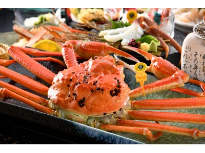 いよいよ越前がに漁が解禁！休暇村越前三国では、1日限定30食の越前がにを2杯使った会席を11月7日より販売～美食都市アワード２０２５受賞の坂井市～
