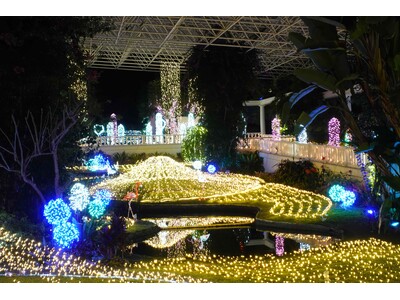 約50万球が輝く幻想的な光と花々の饗宴！ 「フラワーパークかごしま」冬の風物詩イルミネーションが11月28日より開催