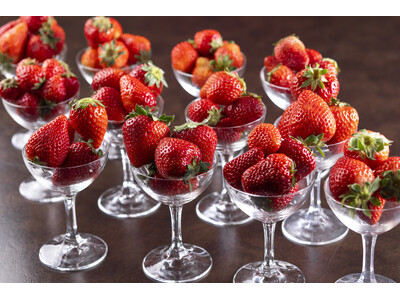 魅力度ランキング最下位の埼玉県は、“プレミアムいちご県”でもあります。　～休暇村奥武蔵から発信する、甘くて力強い“埼玉いちご”の逆襲企画～