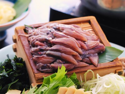 海は蛍、山は花――。　境港のホタルイカとカタクリが告げる春。　休暇村奥大山では、旬を迎えるホタルイカと桜...