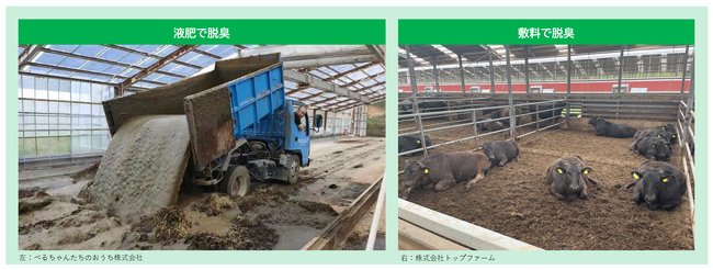 〈土壌の発酵脱臭〉畜産技術による土地改良で地域貢献　～家畜糞尿や不完全な堆肥 による悪臭が広がる地域に向けて事業開始～
