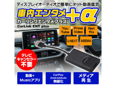 予約殺到】ディスプレイオーディオ入力のUSBに挿すだけ！テレビ