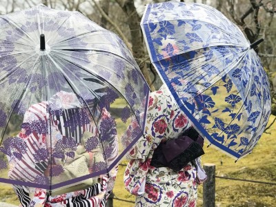 雨の中、シュパッと傘さすあなたは、傘美人。