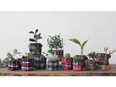 冬の装いを楽しむ鉢カバーが新登場！「チェックハーモニー プランターカバー」全12種発売