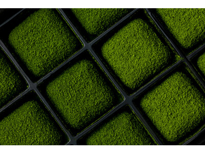 【和多屋別荘限定】嬉野茶農家・副島園の煎茶を使った「豆腐チョコ」を発売