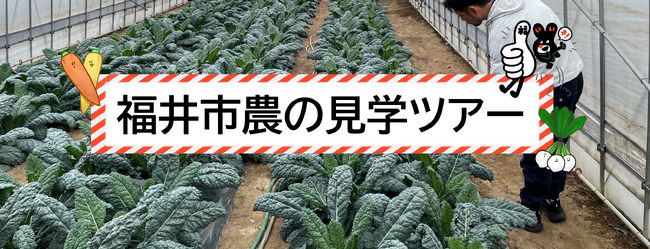交通費・宿泊費の助成あり！【福井県福井市】で就農の魅力を発見！「１2/１８・１９開催！農の見学ツアー」参加者募集中！