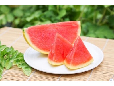 【福井県福井市】縁起の良い贈答品として人気！福井市園芸センターが開発した、上品で独特のシャリシャリ感と甘...