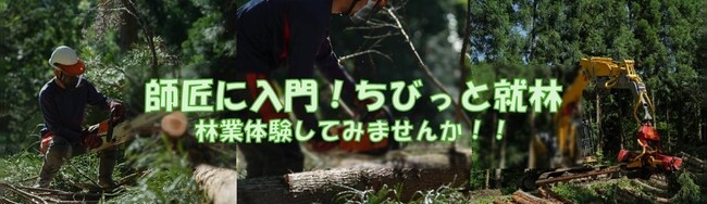 自然×仕事のリアルを体感。”福井市で林業”という新しい選択。林業の師匠が教える３日間（7/3～7/5）の林業体験「ちびっと就林」体験者募集中！！【先着３名】県外在住の方には、交通費・宿泊費助成します！