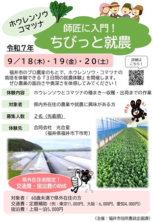 《福井県福井市》交通費・宿泊費助成！！農業の面白さ・奥深さを体感！ホウレンソウ農家のもとで”ちびっと”就農してみませんか。『３日間（９/１８～２０）の就農体験』参加者募集中！