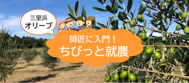 【交通費・宿泊費の助成あり】福井でオリーブ！？果実からオリーブオイルができる感動を体感！「１０/３０～１１/１の就農体験」参加者募集中！