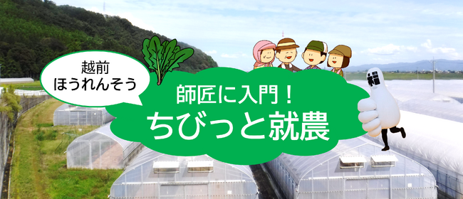 《福井県福井市》交通費・宿泊費助成あり！特産「越前ほうれんそう」の栽培を”ちびっと”体験してみませんか♪『１０/１７開催の就農体験』参加者募集中！