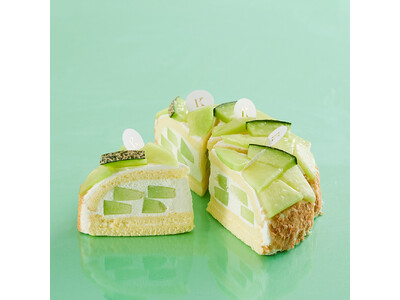 札幌の洋菓子【きのとや】旬なメロンの芳醇なおいしさを存分に楽しめる「メロンデコレーション」が今年も登場！