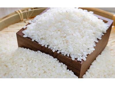 【炊飯器機能を使った1合の炊き方】浸水時間や水の量でおいしさが変わるからベストな炊き方を紹介!
