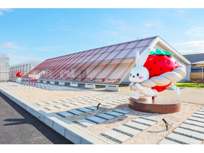 出雲大社近くに新観光スポット！いちご狩り施設「出雲ICHIGO縁」誕生！