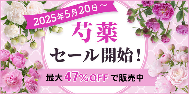 【MAX47％OFF】芍薬SALEを2025年5月20日～開催！｜花の卸通販フラワースミスマーケット