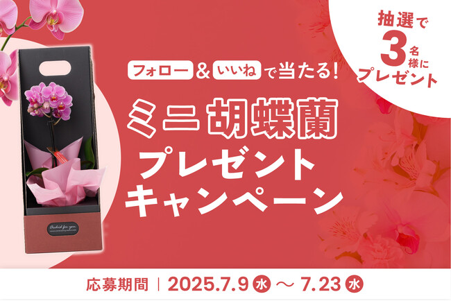 「ミニ胡蝶蘭」が当たるプレゼントキャンペーンを2025年7月9日~開催!|胡蝶蘭専門サイトフラワースミスギフト