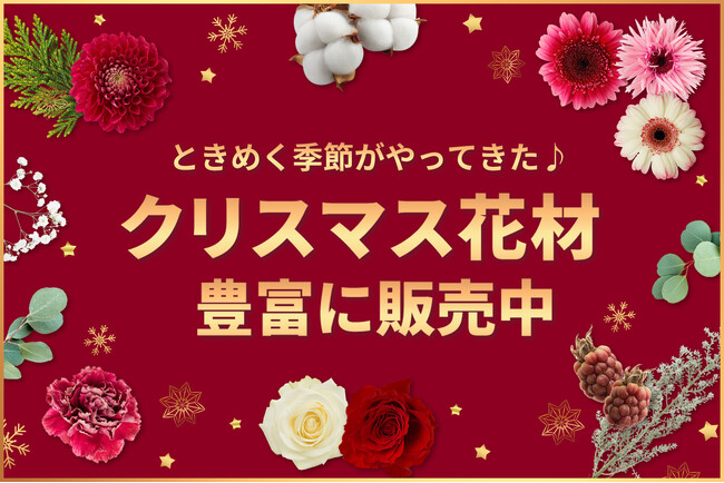 リース・スワッグ作りに欠かせない花材を厳選！クリスマス花材特集を11月10日～スタート｜花の卸通販フラワースミスマーケット